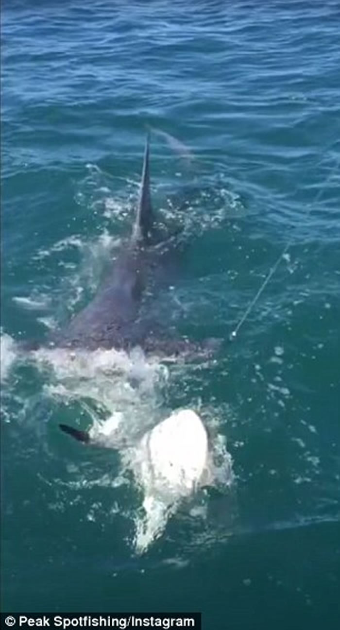 ���޴�ͷ��Ӻ�׷ҧһ���ϵ��Ķ�β����