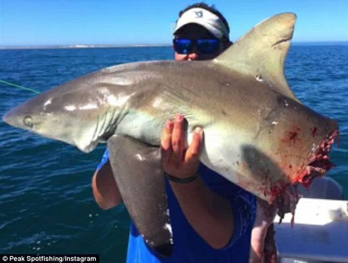 ���޴�ͷ��Ӻ�׷ҧһ���ϵ��Ķ�β����