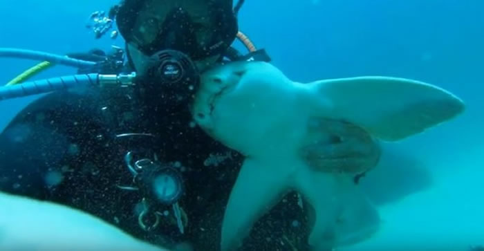 ��������ÿ��Ǳˮ��ʶ����Ļ�����ι��������ֱ�