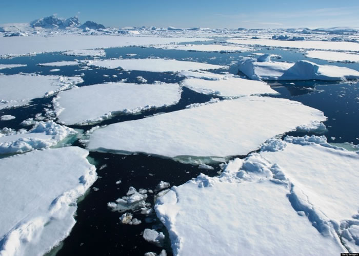 两极融冰的情况非常严重。