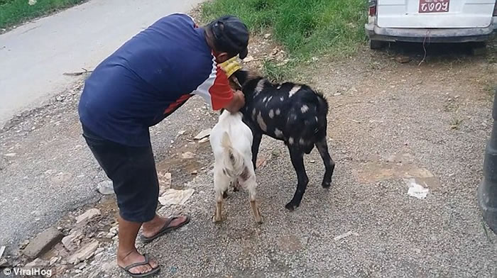 ������˼���Ჴ����ֻɽ��ͬ��һ�����ӿ�ͷ