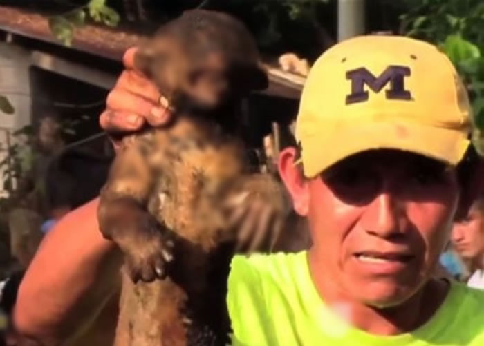 �д��������ս�������ʬ�塣