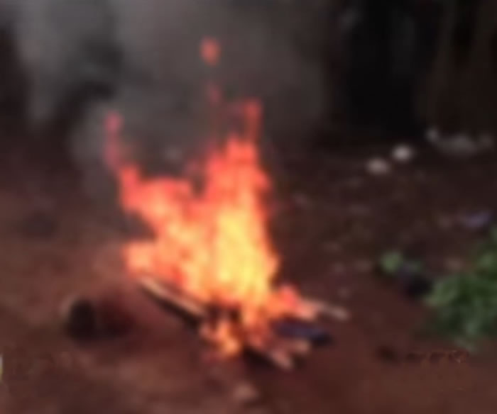 ����Ż������ܡ�