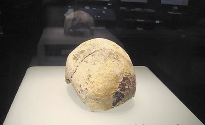 “汉阳人”头骨化石