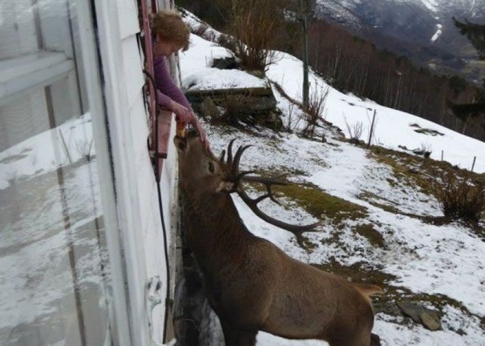 ��ķ���󣩸�����������