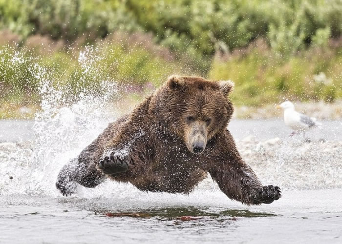 ����������ˮ���ϻ��衣