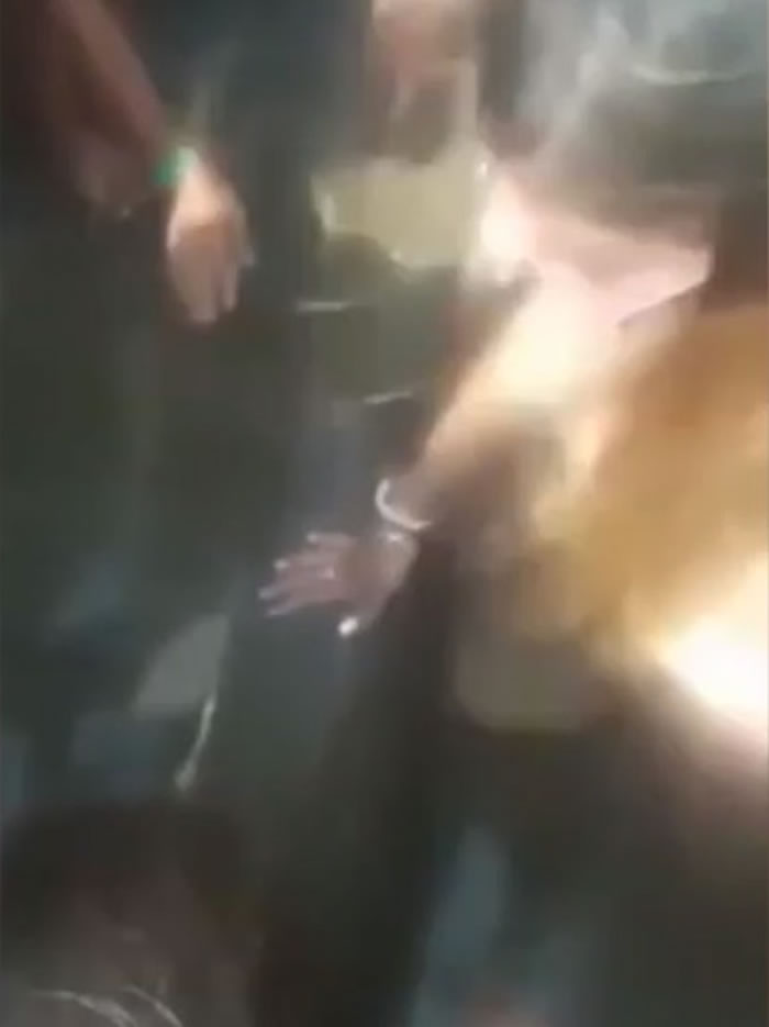 游人只顾触摸小海豚及与其拍照,令它惨死。