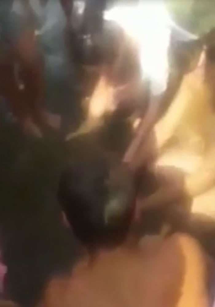 海豚当时被很多人围着,不能动弹。