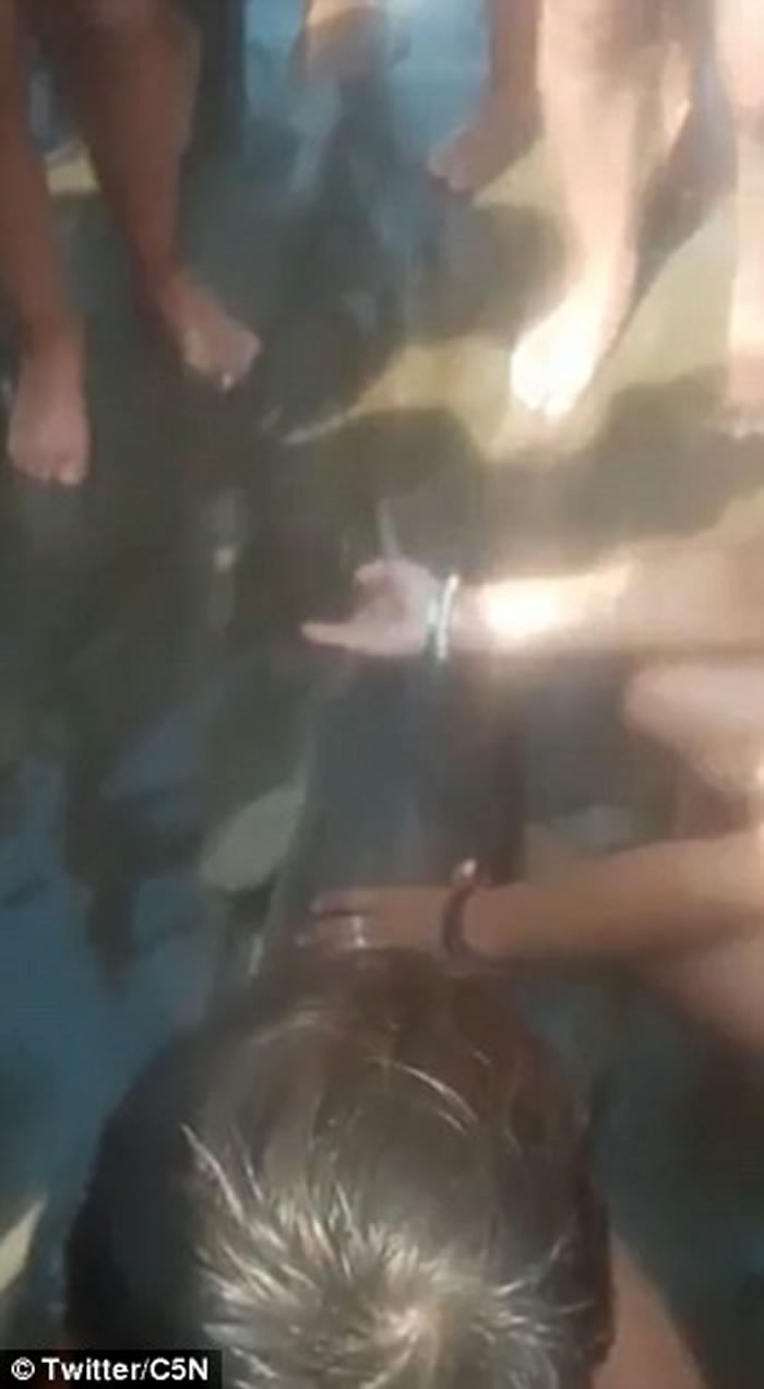 当时人人只顾摸小海豚及与其拍照,未有及时助它回到水中。