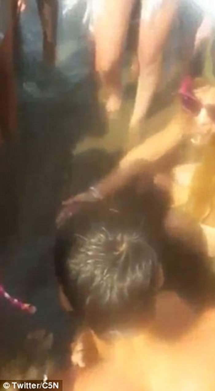 小海豚阿根廷海滩搁浅遭游人拍照狂摸惨死