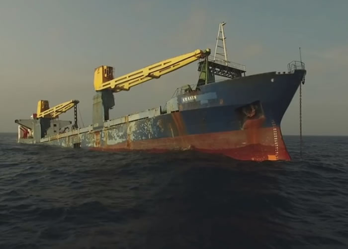 ����ȡ��Ϊ��Ų�����֡���