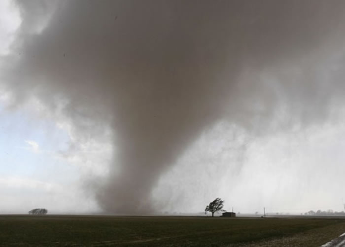 ����������������������������ͼƬ��