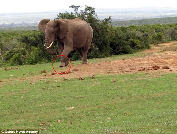 �Ϸǰ��������ҹ�԰������½�������� �ý��߶Է�