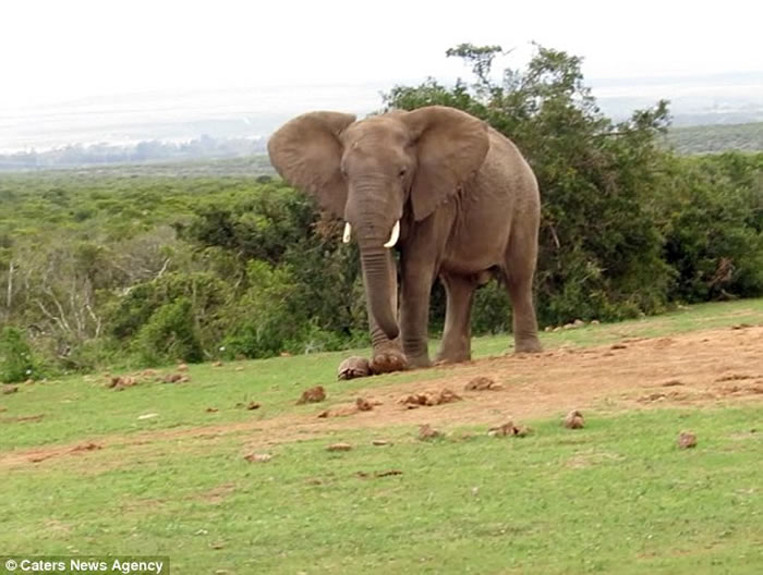 �Ϸǰ��������ҹ�԰������½�������� �ý��߶Է�