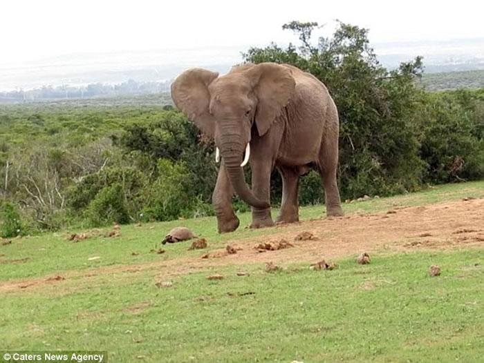 �Ϸǰ��������ҹ�԰������½�������� �ý��߶Է�