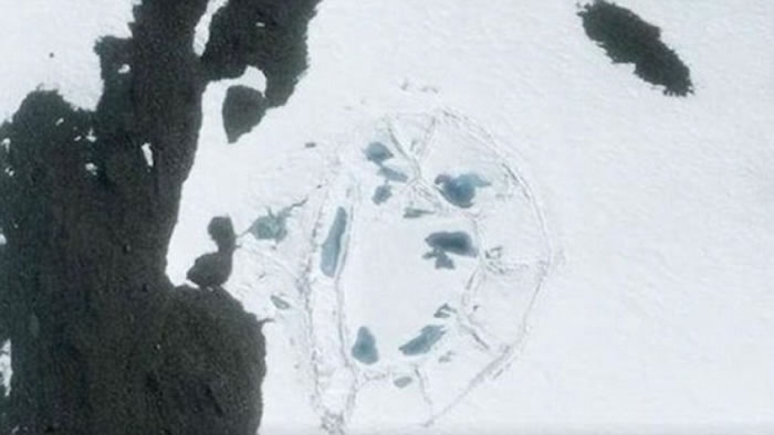 ΪԲεĽṹΪŴϼ֤ݡ