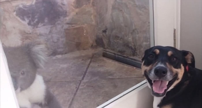 �����Ծ�ͷ��Ц��