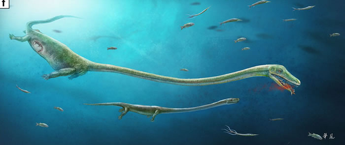 ���еĿ�ͷ����ʳ����ĸ�ԭͼ