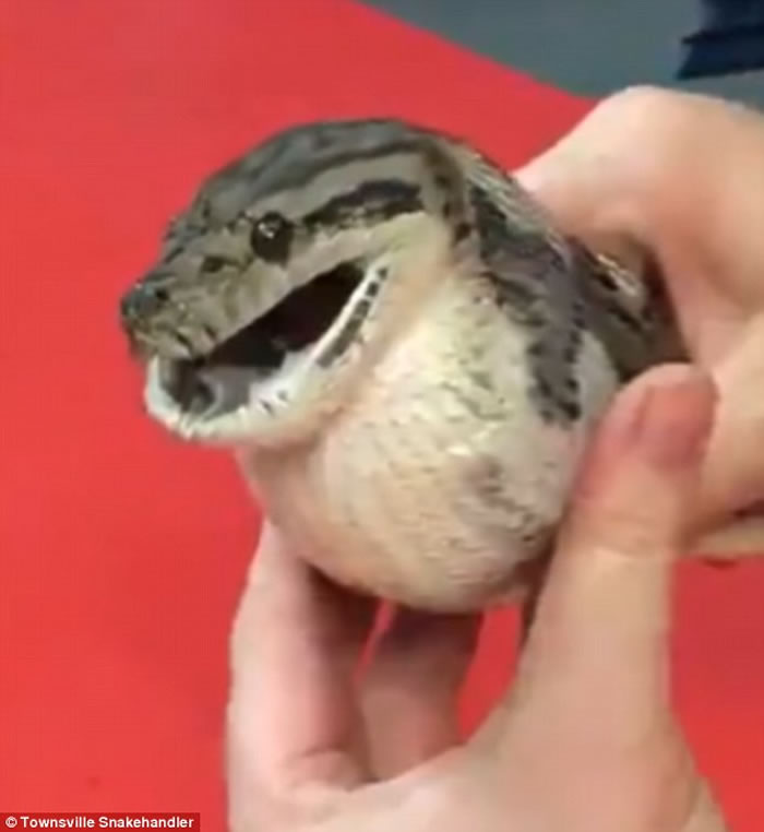 ���޵�̺�����������󸹱��