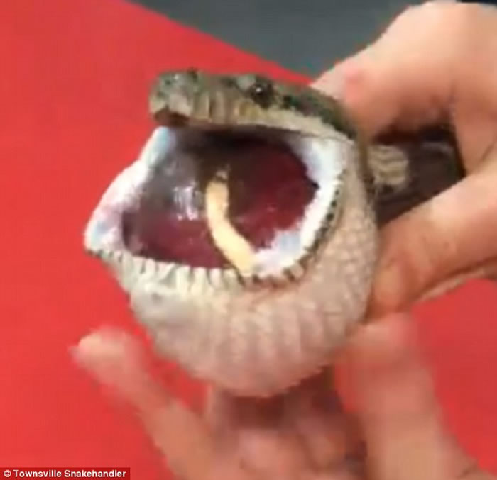 ���޵�̺�����������󸹱��