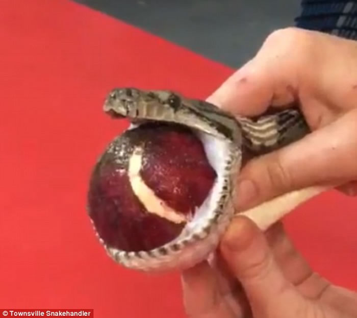 ���޵�̺�����������󸹱��