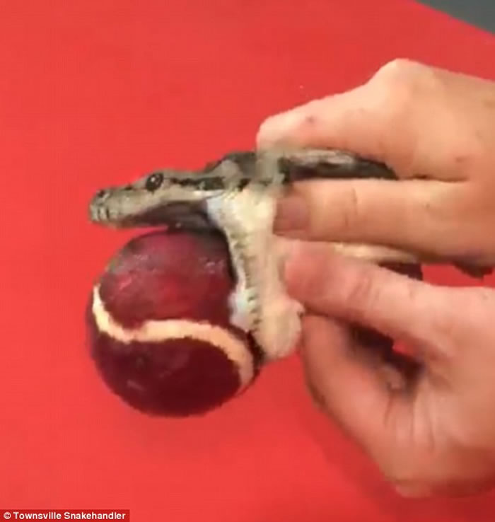 ���޵�̺�����������󸹱��