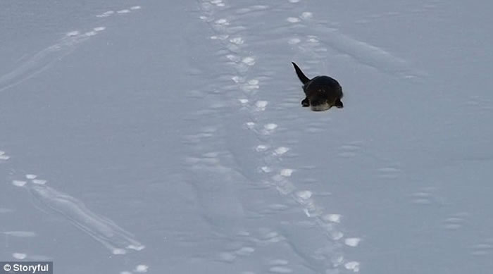 ������ʯ���ҹ�԰��̡��������ˣ�ִ˲�ƣ