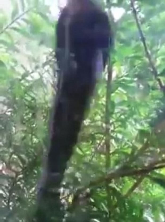 �����۾���סլ������ײ��