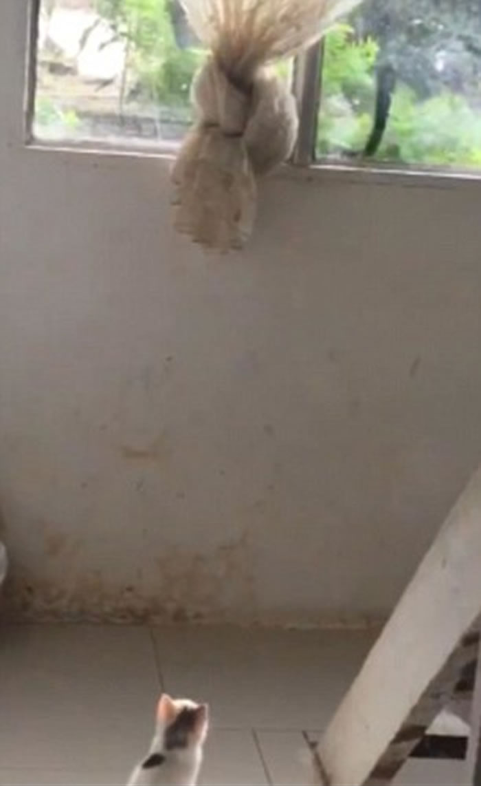 �����۾���סլ������ײ��