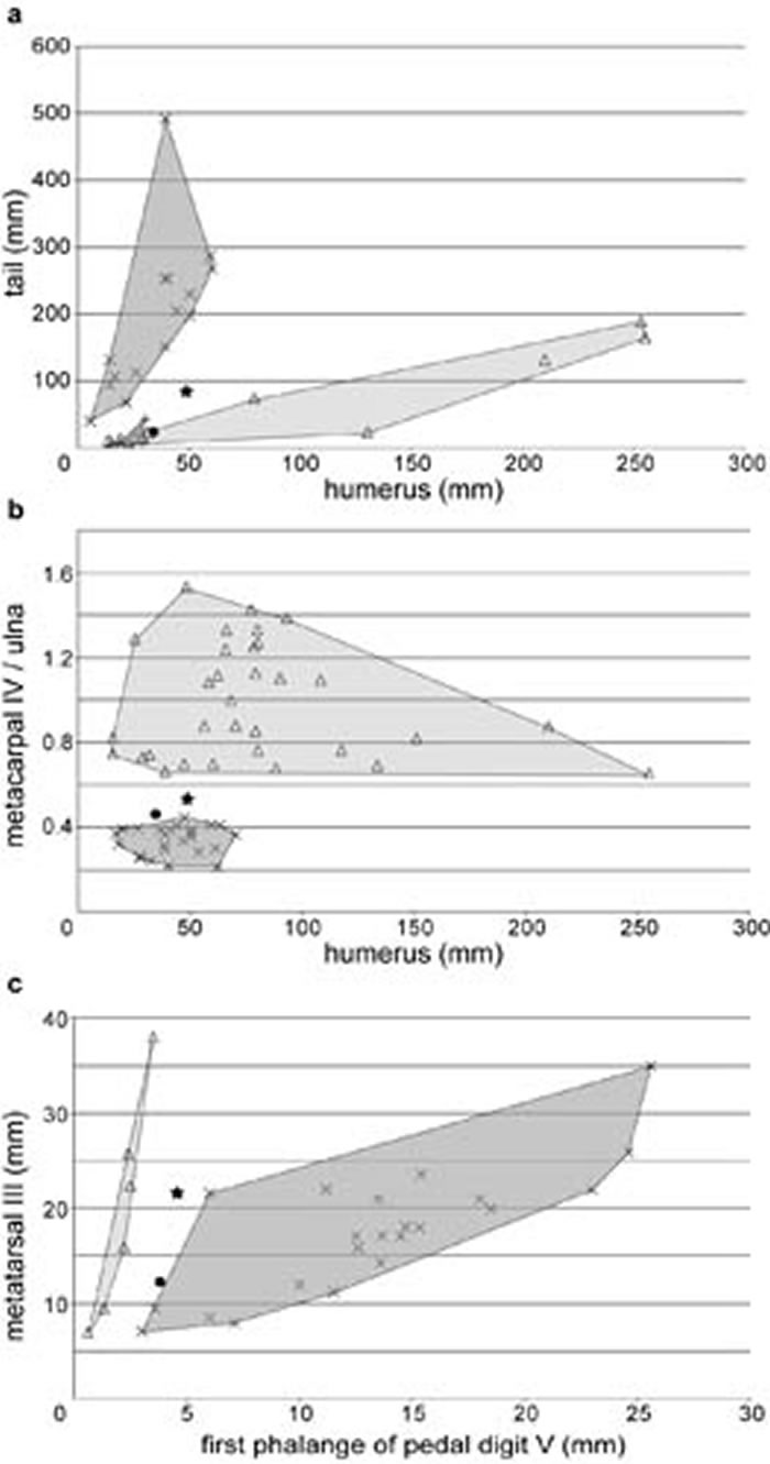 ֣϶սԱɢͼ֣϶ս¹δͣr࣬Î (˳˹ͼ)