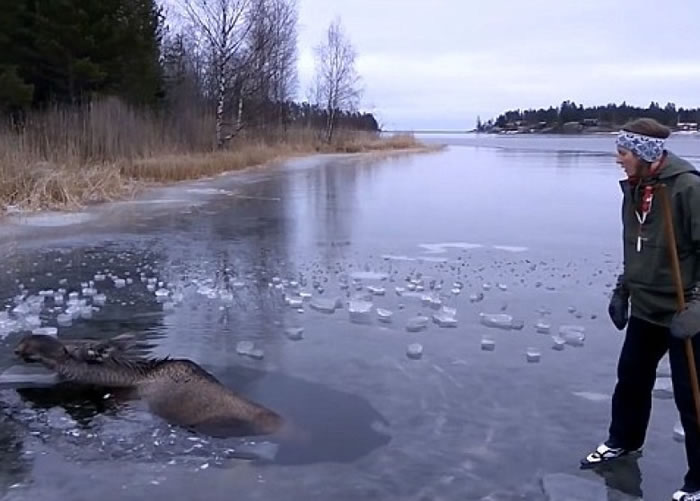 ��¹ǰ�Ⱥ�ͷ��¶��ˮ�档