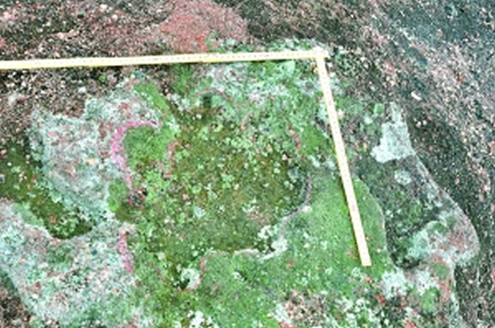 �·��ֵļ���������㼣��ʯ��