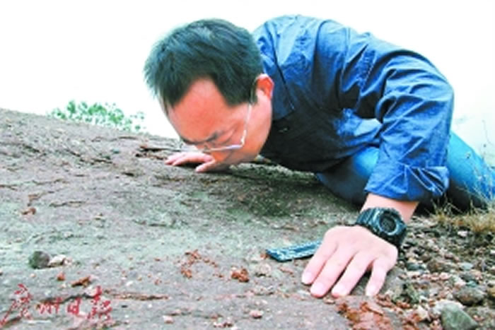 ��ǿ���ֳ������·��ֵĿ����㼣��ʯ��