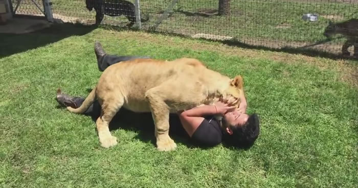 ʨ�Ӽ��������Լ���������˷��˵�