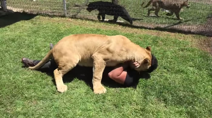 ʨ�Ӽ��������Լ���������˷��˵�