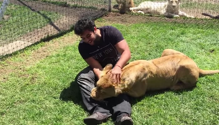 ʨ�Ӽ��������Լ���������˷��˵�