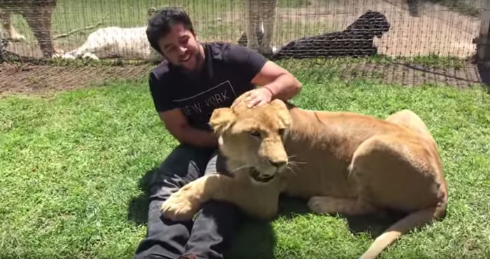 ʨ�Ӽ��������Լ���������˷��˵�