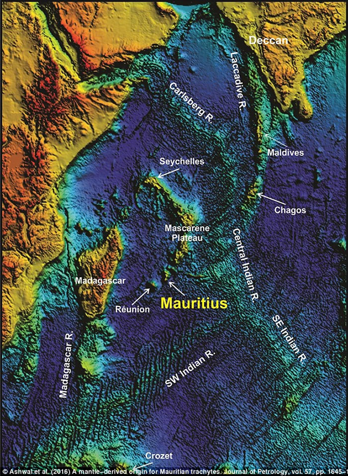 ӡ���������˹��֮���ӡ���󺣵׷�������ʧ��ġ�ë�����ǡ�(Mauritia���Ŵ�½