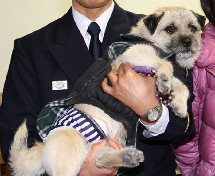 日本静冈田野市一只狗“忠太郎”散步时发现老翁坠水及时提醒主人施救