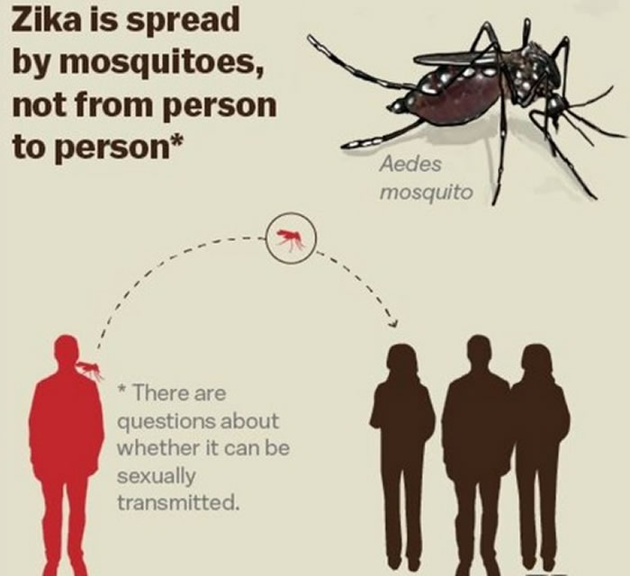 寨卡(Zika)疫情持续肆虐全球
