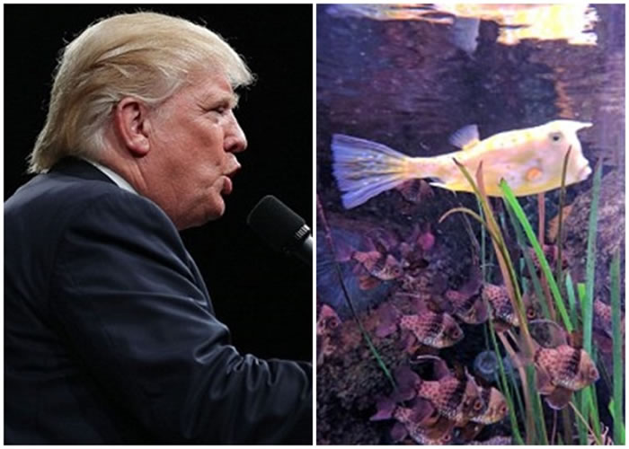 �����գ���ͼ��ͬţ���㣨��ͼ�����ƣ�