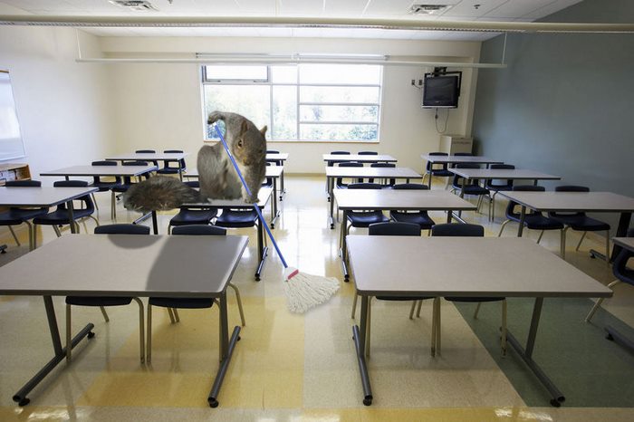 ��������Ӣ�ۣ�������������Ƭ�������������ͼ