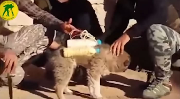 ISǿ��С�����ϳ�����ҩ�۵ı���ƿ����Ϊ����ɱը���͡�һԱ��