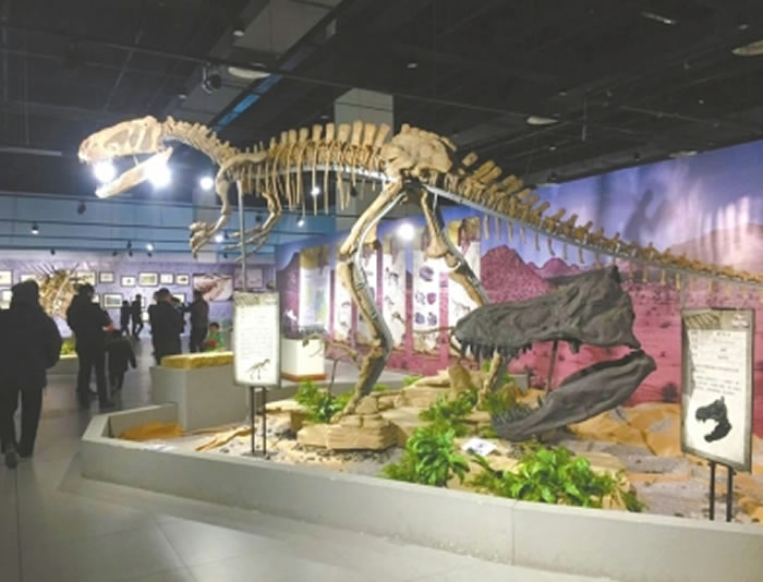 自贡恐龙博物馆“重返侏罗纪”展在绍兴科技馆完美收官