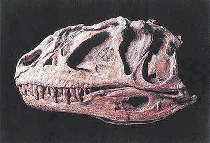 入选中国恐龙特种邮票 永川龙成为国家名片