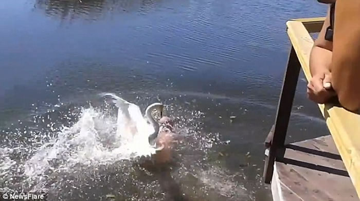 �϶��������� ����˹��������Ϯ����Ӿ��