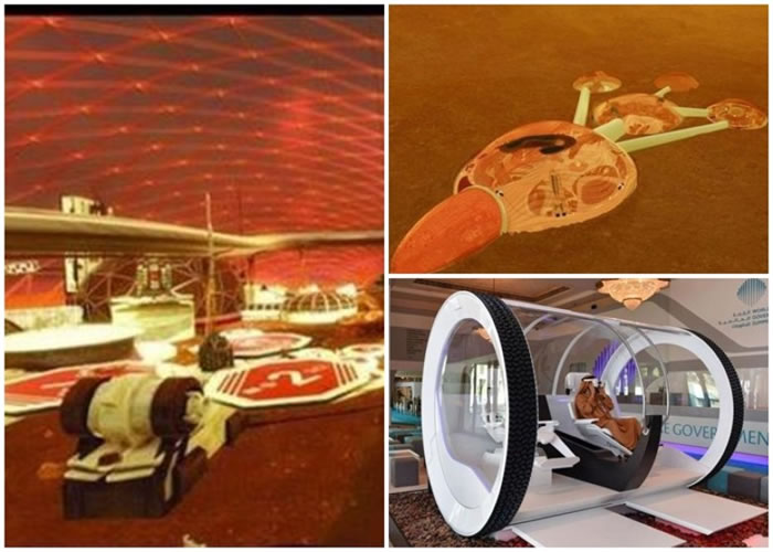 ����ͼķ�ڶŰݾ��е����������߷���ϣ������йصļƻ���