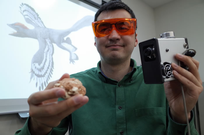 港大地球科学系助理教授文嘉棋利用新激光器材(右),扫描分析恐龙化石(左)/大公报记者唐晓明摄