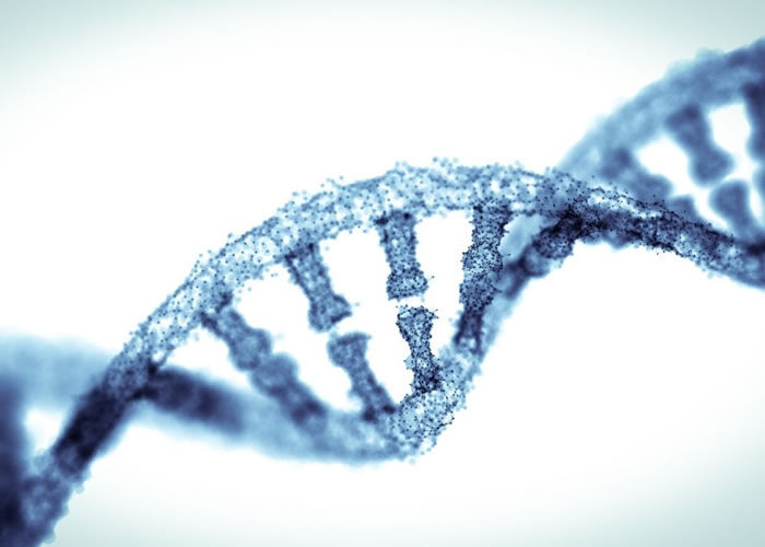 美国有专家提出开放基因改编实验,以帮助对付遗传疾病。