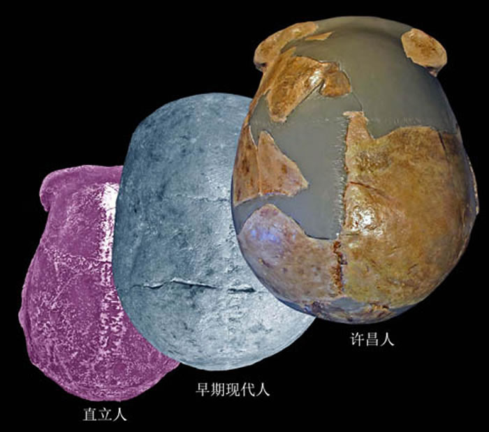 ������ͷ�Ƕ���ۼ�����ֱ���ˡ������ִ��˶Աȣ�����ܹ�ͼ��